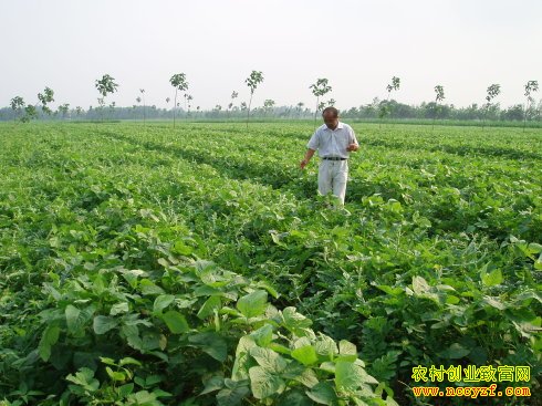 �����ֵظ�׬Ǯ:����������Сΰһ����������Ķ׬2500Ԫ