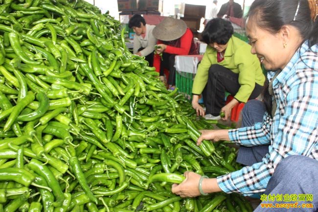 2016��⽷�۸���������:�⽷�۸����ϡ������ݡ�