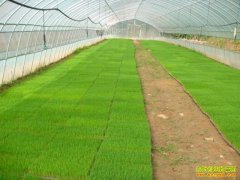 ����������ǧ����������������ú��¸�