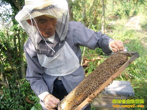 ���Ϻ��ڻƹ��д���14���м��������¸�