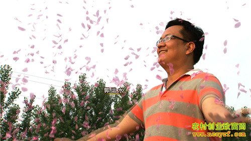 [�¸���]ɽ��ƽ������ˮֻ���賿�ĵ㿪ʼ���ŵĲƸ�