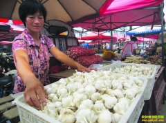 ����۸����  �ִ�����׬Ǯ��