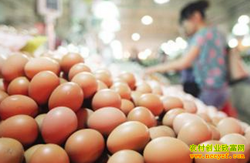 �����۸�ʮ�ꡰ�µ͡�����������׬Ǯ��