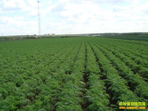 ����˳��:�������ֺ��ܲ�Ķ������3300Ԫ