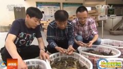 [�Ƽ�Է]������������:��ֳ̨���������׬Ǯ