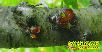 �����������ķ��η���