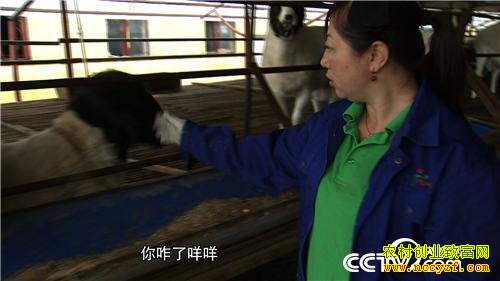 ������������Ѱ���