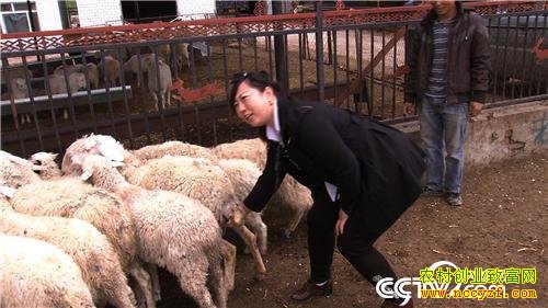 ������������Ѱ���