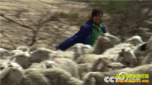 ������������Ѱ���