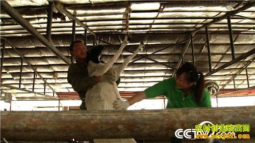 ������������Ѱ���