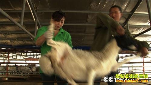 ������������Ѱ���