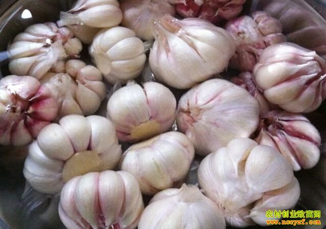 2016�ӱ�����۸����飺����۸���Ȼ��ͦ