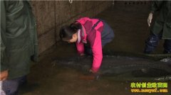 [�¸���]���������￪������������6000����Ԫ