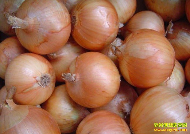 2016��м۸�Ԥ��:��м۸񱩵� �������鲻���ֹ�