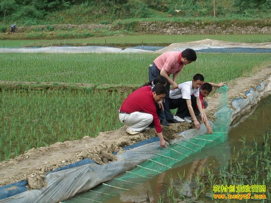 ���շ�̨���񽭵�����ֳ����ϺÿĶ����1.5��Ԫ