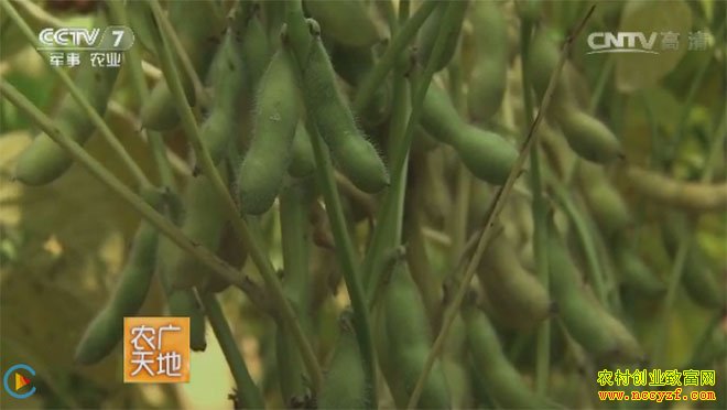 ����¿��ֳͼƬ