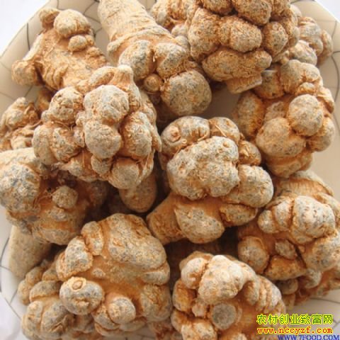 ��ҩ������ͼƬ