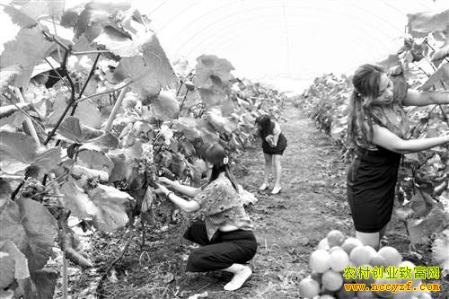 ������׬Ǯ�������ɽ���������ѡ���ľ���ѧ