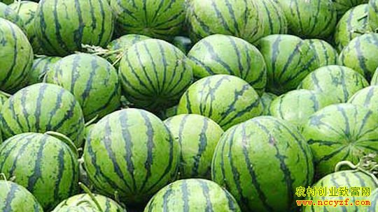 ���ϼ۸��������ƣ����ϼ۸���ڻ��µ�