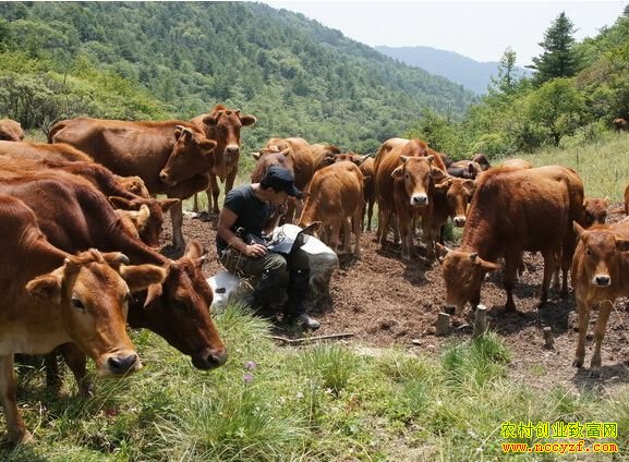 �Ĵ�������¡ѧ��ţ�¸���׬ʮ����