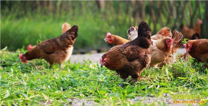 �������ݡ���˾�������������׬50����