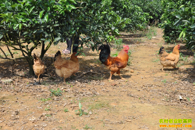 ɽ���������������������ֹ������¸�·