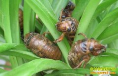 [ũ�����]�����ֳ������Ƶ