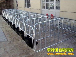 �ӱ����������޺�����ת�˳�׬��Ǯ