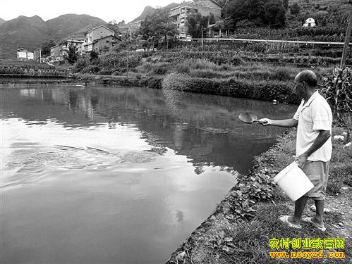 �����ϴ���������ɽ��Ȫ��Ѽ���㴴ҵ�¸�