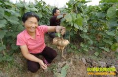 ũ���¸����������㡢�ڡ���