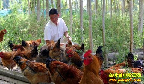 δ����Щ����ũ�����¸�