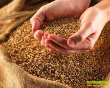 С���չ��۸���٣��³���۽ӹ�� ��������۸���