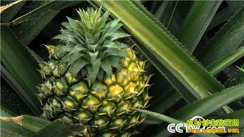 [�¸���]�㶫�������˶���ƴ���Ĳ��ܽ��⽨��