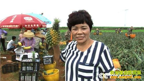 [�¸���]�㶫�������˶���ƴ���Ĳ��ܽ��⽨��