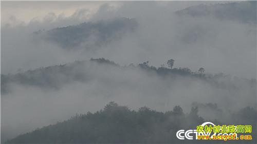 һ���������˵�ǧ��Ƹ�