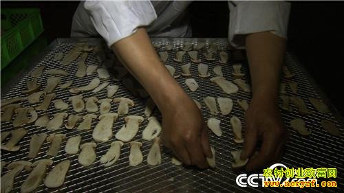 һ���������˵�ǧ��Ƹ�