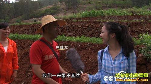 [�¸���]����½����ʤ���ӹ�����Ұ������ǧ��Ƹ�