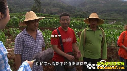 һ���������˵�ǧ��Ƹ�