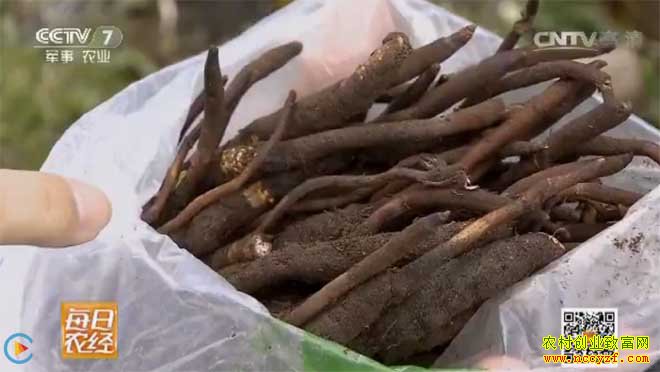 [ÿ��ũ��]Ѱ�Ҷ����Ĳ�