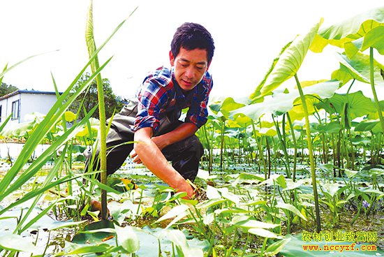 �㽭������ط���ź+���������������¸�