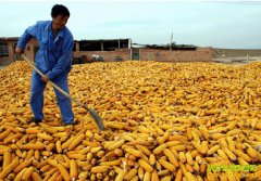 2016�����׼۸����飺�෽��ѹ �������׼۸��������