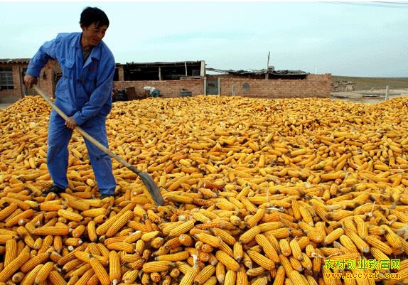 2016�����׼۸����飺�෽��ѹ �������׼۸��������