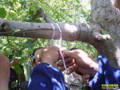 ������ʲôʱ��޽� �����޽���������