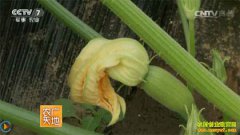 [ũ�����]����������«���ϵķ��μ�����Ƶ