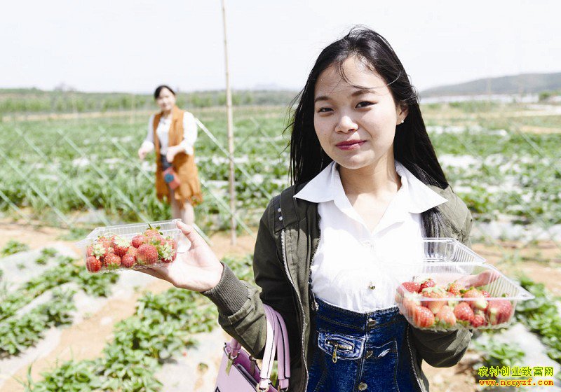 �ӱ�ɳ�ӿ����̻���ɽ����ũ���¸�