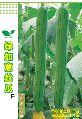 ˿���ӽ�����Ʒ�֣�������F1Ķ��2�򹫽�