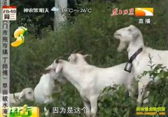 �¸��ð�������Զ�ɸı�����ʽ ��۵���׬Ǯ