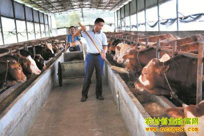 �Ĵ��ϲ��ֵ�ѡ���紴ҵ��ţ�¸���������