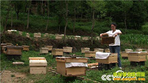 Ů�������������ﱳ��ĲƸ�