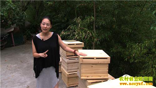 [�¸���]�Ĵ��ന�������������������1700��Ԫ